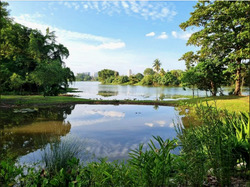 The LakeGarden Residences (D22), Condominium #582980901